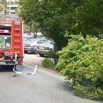 Prometna Kuneji Auto Krov 3