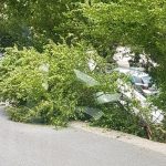 Prometna Kuneji Auto Krov 5