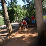 bocanje lokrum 8