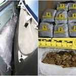 Na Graničnom prijelazu Klek zaplijenjeno 7,5 kilograma marihuane 4 droga marihuana trava granica 0000