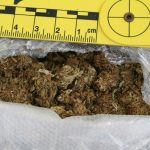 Na Graničnom prijelazu Klek zaplijenjeno 7,5 kilograma marihuane 1 droga marihuana trava granica 3