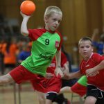 erste rukometna liga 134