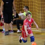 erste rukometna liga 160