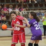 erste rukometna liga 175