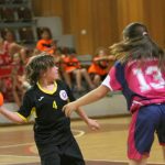 erste rukometna liga 25