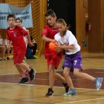 erste rukometna liga 48