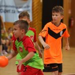 erste rukometna liga 80