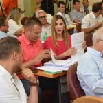 gradsko vijece04