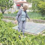 perica kleskovic placa zupa 1