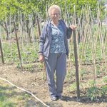 perica kleskovic placa zupa