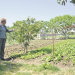 perica kleskovic placa zupa 3