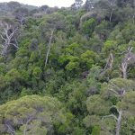 vatrogasci vjezba lokrum 8