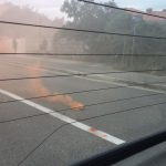 Zadnji dan skole Osmasi 9