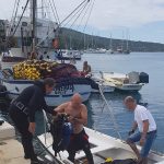 dubrovacko primorje akcija ciscenja 3