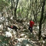 hgss potraga mljet 3