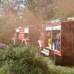 FOTO Tko je bio hrabar u Pridvorju? 9 vjezba zurne sluzbe konavle 9