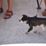 07072018 djir voda fontana vrucina 26