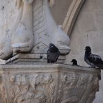 07072018 djir voda fontana vrucina 7