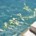 11072018 srebrenica mimohod 15