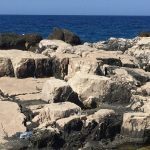 29072018 lokrum smece 5