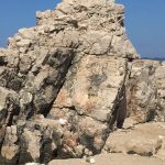 29072018 lokrum smece 6