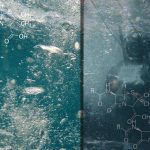 aqua forensic Sebjanic Sutic 5