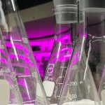 aqua forensic lokrum 17