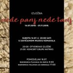 plakat nedje panj nedje tanj 2