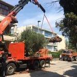 09082018 palma posta lapad 12