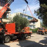 09082018 palma posta lapad 2