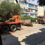 09082018 palma posta lapad 6