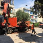 09082018 palma posta lapad 8