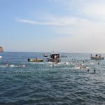 14082018 divlja porporela cetvrtfinale 16