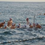 14082018 divlja porporela cetvrtfinale 23