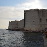 14082018 divlja porporela cetvrtfinale 33