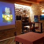 Galerija Stara Skula Koralji 3