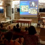 Galerija Stara Skula Koralji 7