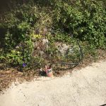 Setnica Nika i Meda Pucica 6