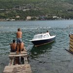 divlja09