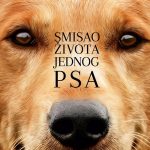 ljeto valamar film 1