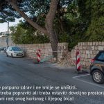 mitrovic bor4