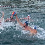 red bull sidrun18