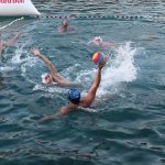 red bull sidrun19