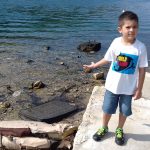 Eko Omblici Zelena i Plava Cistka 4