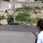 Eko Omblici Zelena i Plava Cistka 5