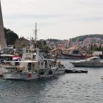 POZAR MIRINOVO KOCA 1