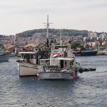 POZAR MIRINOVO KOCA 2