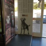 Znate li koliko vaš pas ima kila? Evo gdje možete provjeriti! 1 Vaga Scooby 2