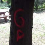 eko park mokosica vandali 4