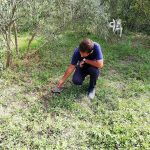 kornjaca021 3